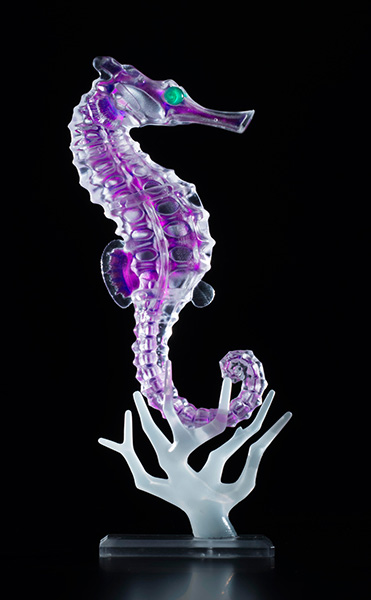 Dual Layer Puzzle 透明標本パズル タツノオトシゴ｜商品情報