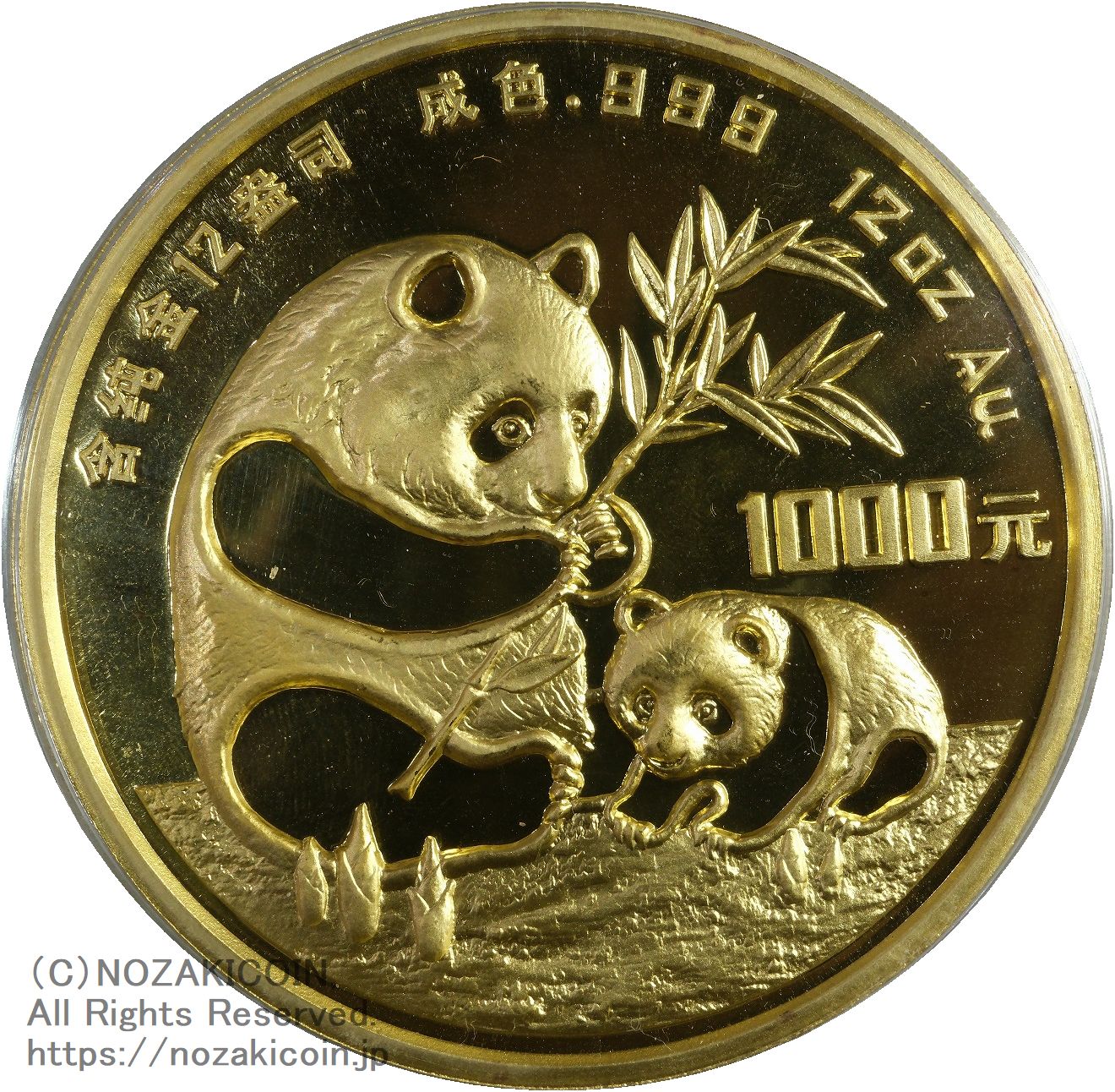 s-DSCF0583.jpg?v=1745385943