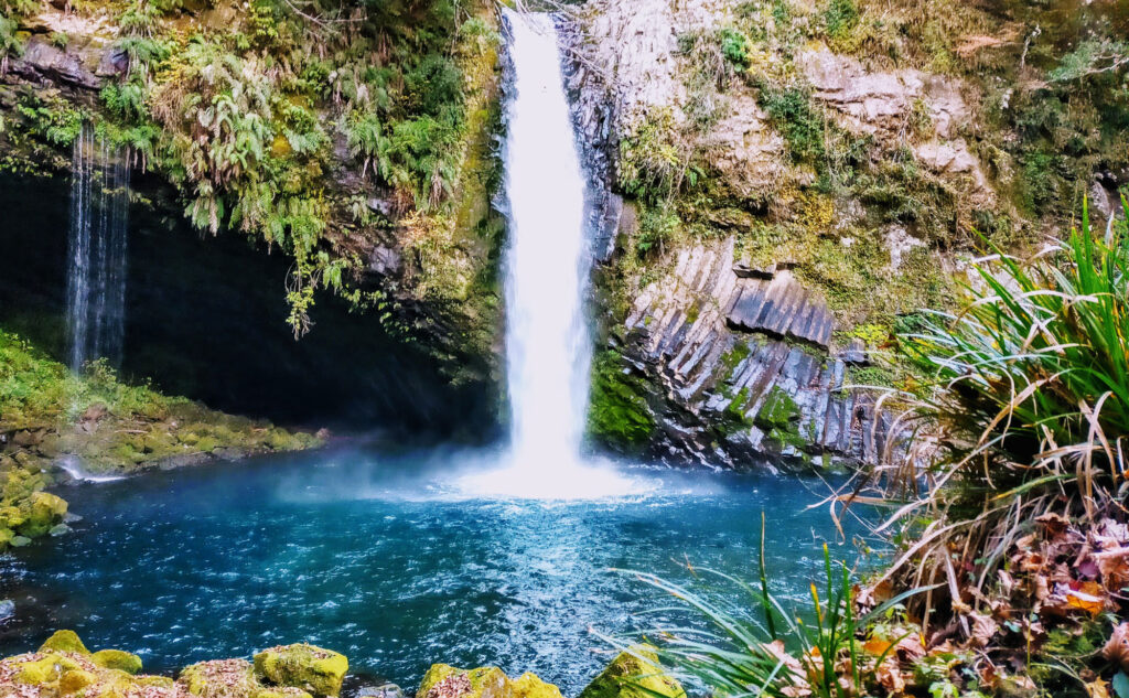 浄蓮の滝(Jyoren no taki) | 伊豆観光情報
