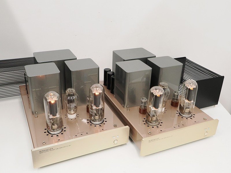 SUNVALLEY SV-2PP/300B 845 使用 真空管 モノラルパワーアンプペア