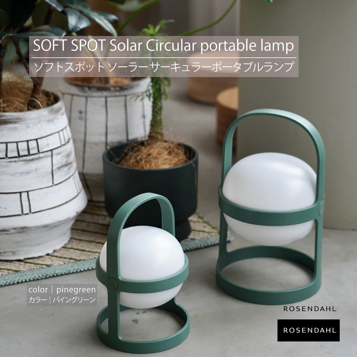 パイングリーン】ソフトスポットソーラー サーキュラー 25cm／18cm