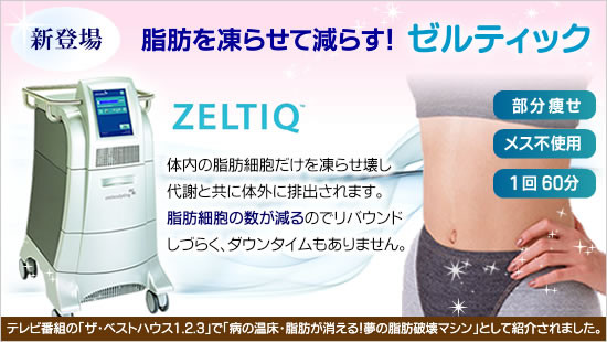 脂肪冷却痩身マシン｜アマデウスジャパン株式会社