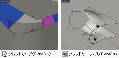 ライノセラス詳細情報