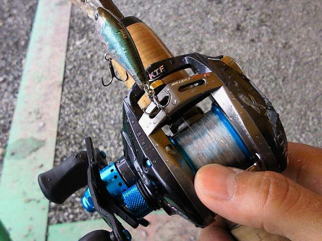 KTF アルファスフィネス インプレ - うなぎいぬにっき┌('ω