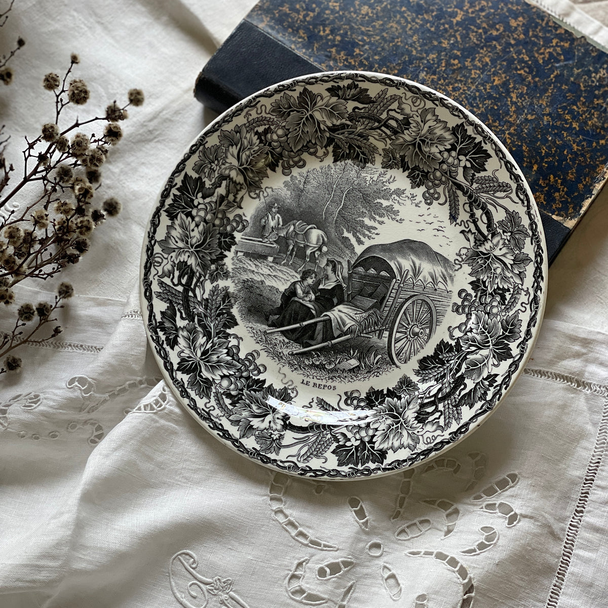 IMG_7013_1200x1200.jpg?v=