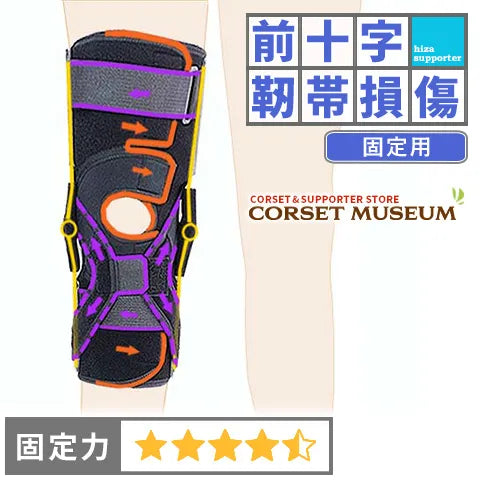 前十字靭帯損傷｜エクスエイドニーACL – コルセットミュージアム