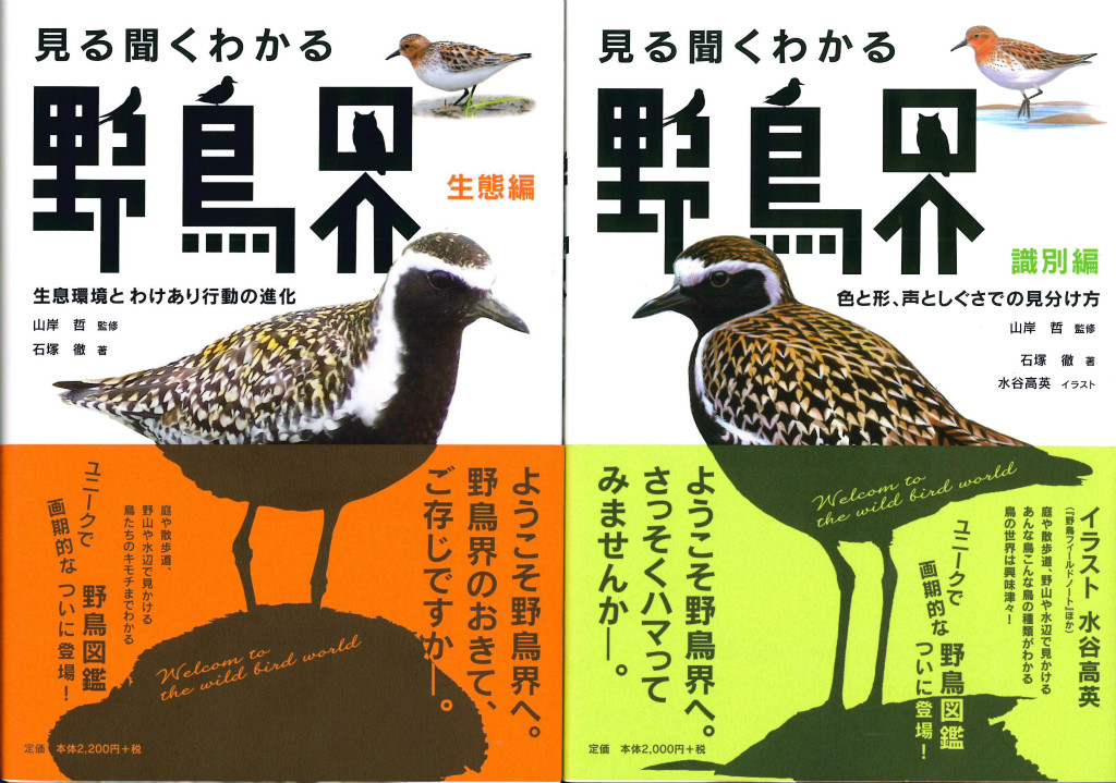 図書紹介：見る聞くわかる野鳥界（識別編・生態編） | バードリサーチ
