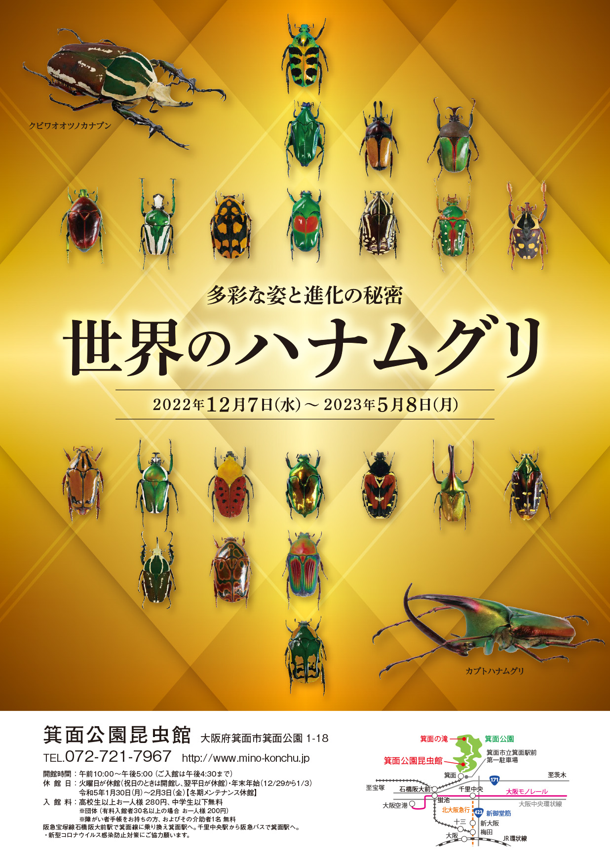 箕面公園昆虫館 企画展「世界のハナムグリ」＠「ぼくらはみんな生きて