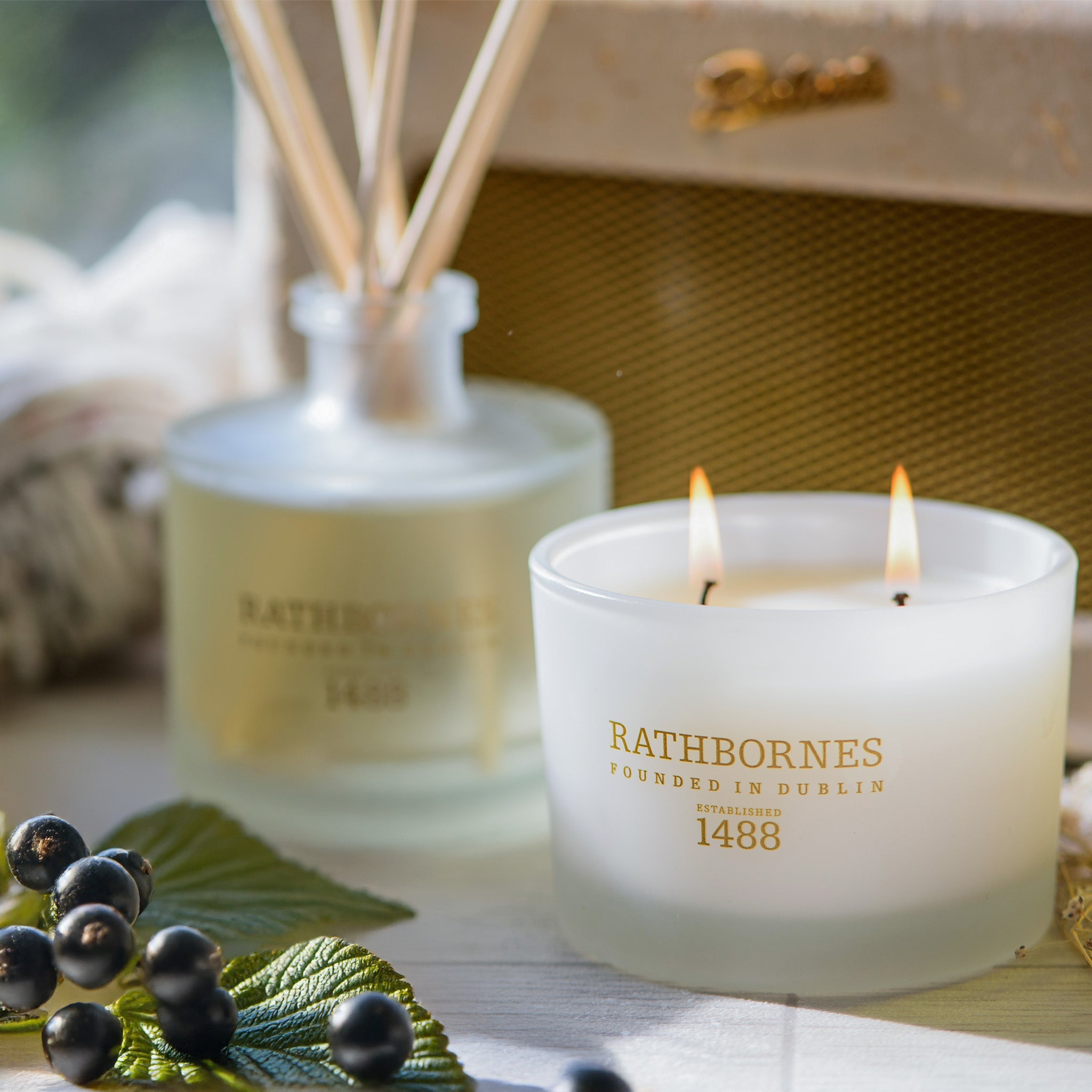 カシスリーフ＆ジャスミン／クラシックキャンドル – Gluxury