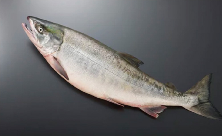 フェイススリムブースターセラム Face Slim Booster Serum - gran-9