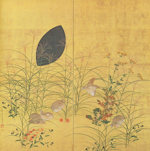 日本の美 薄！ 琳派のすすき: いづつやの文化記号