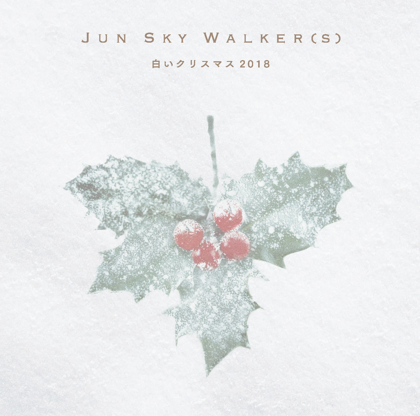 白いクリスマス 2018 | JUN SKY WALKER(S) Official Website