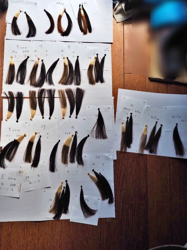 アルテマリトーノカラー 色出し後の検証 | 髪処 禅