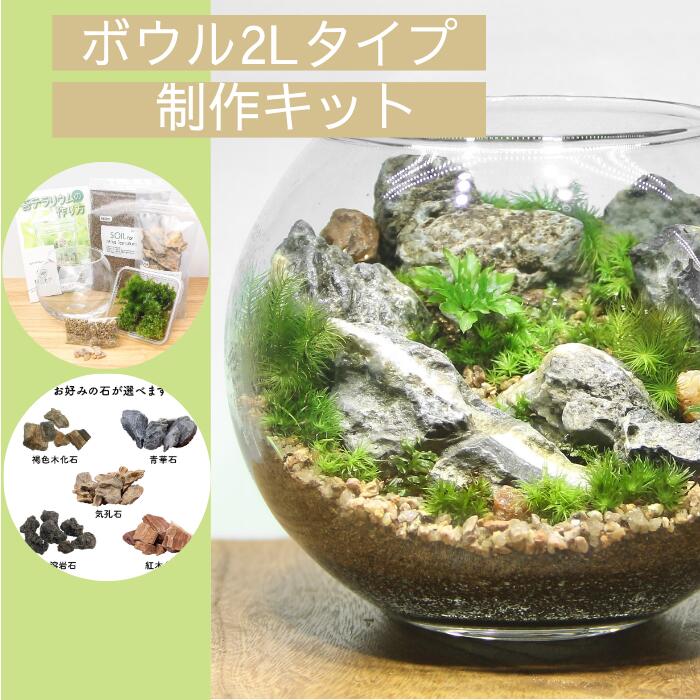 ボウル2L type】苔テラリウム制作キット《苔パック5種》 – 苔むすび