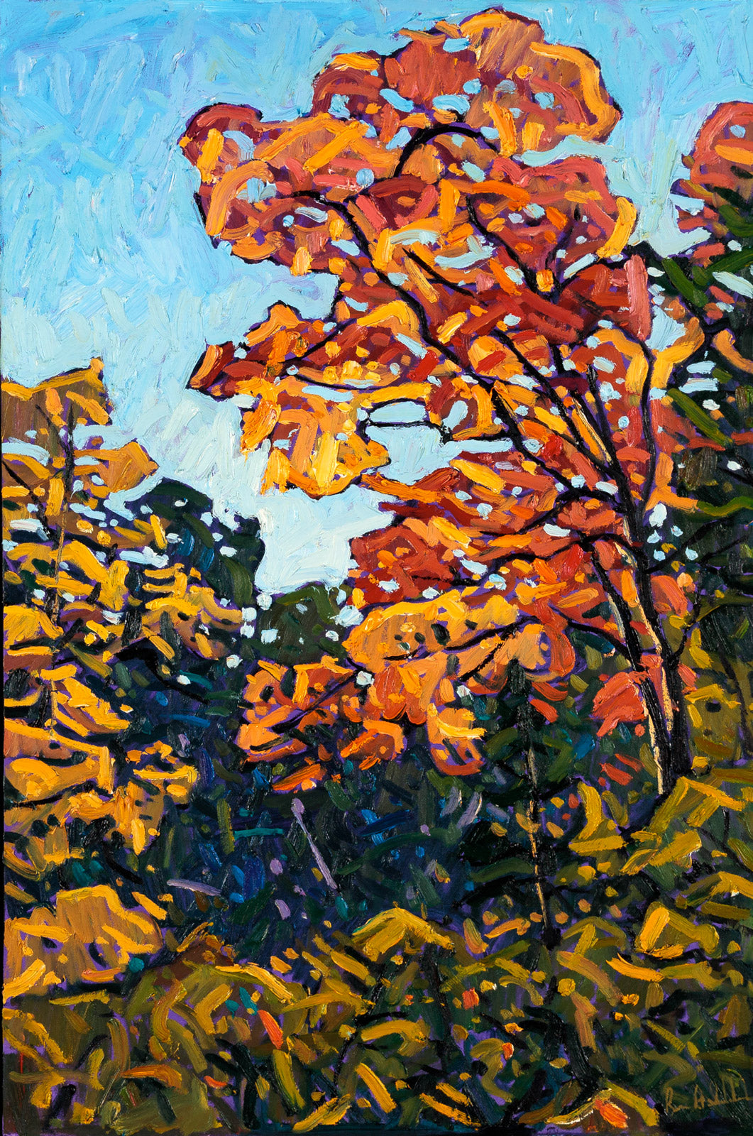 Vibrant Fall Colours, Muskoka