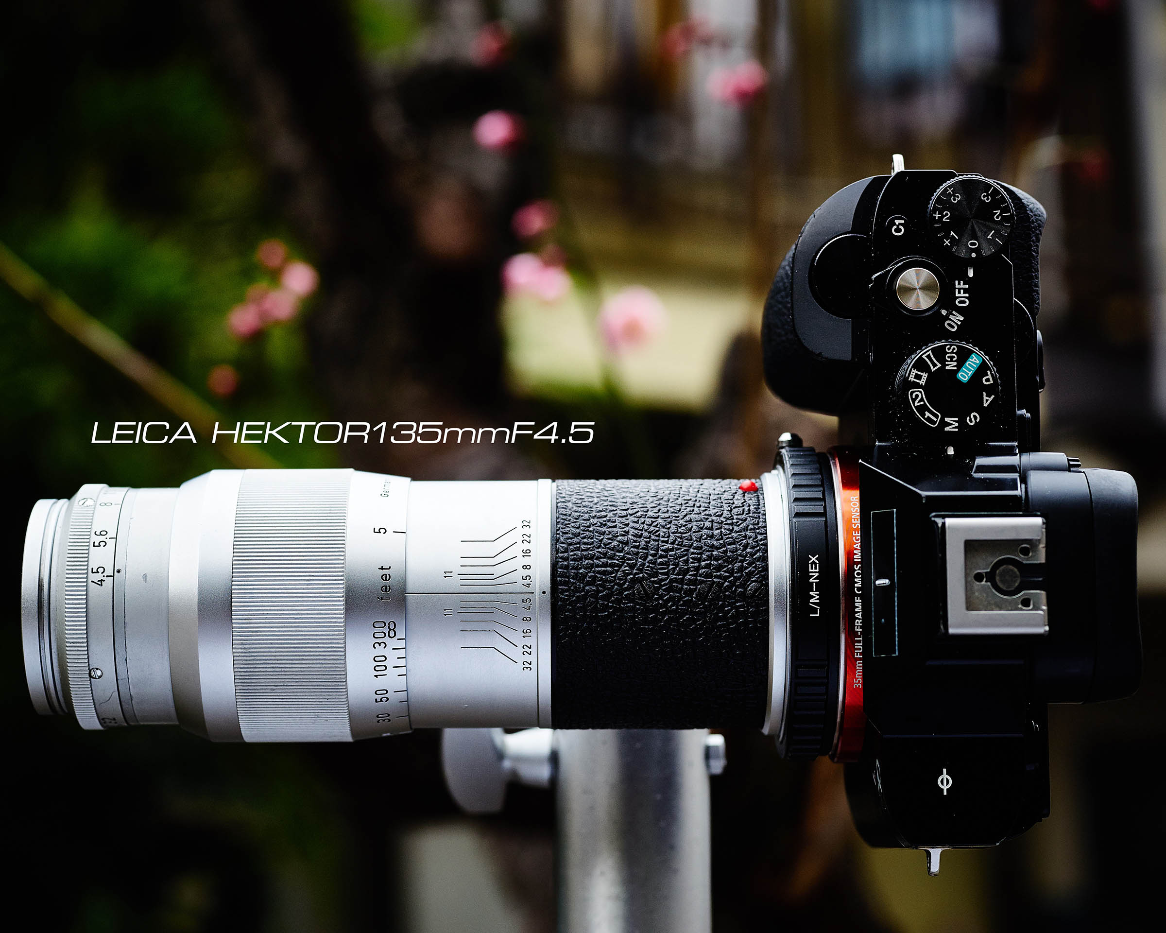 比較的お安く手に入るライカレンズの「ヘクトール135mmF4.5」で梅花を