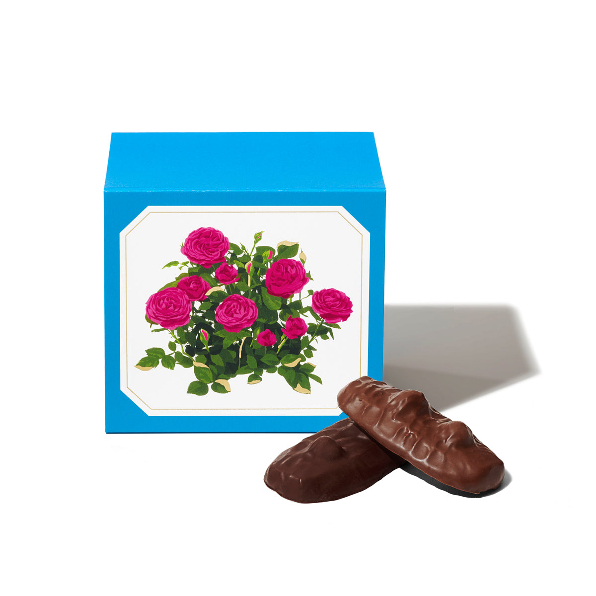 ショコラサブレ 8枚入 – ルル メリーオンラインストア