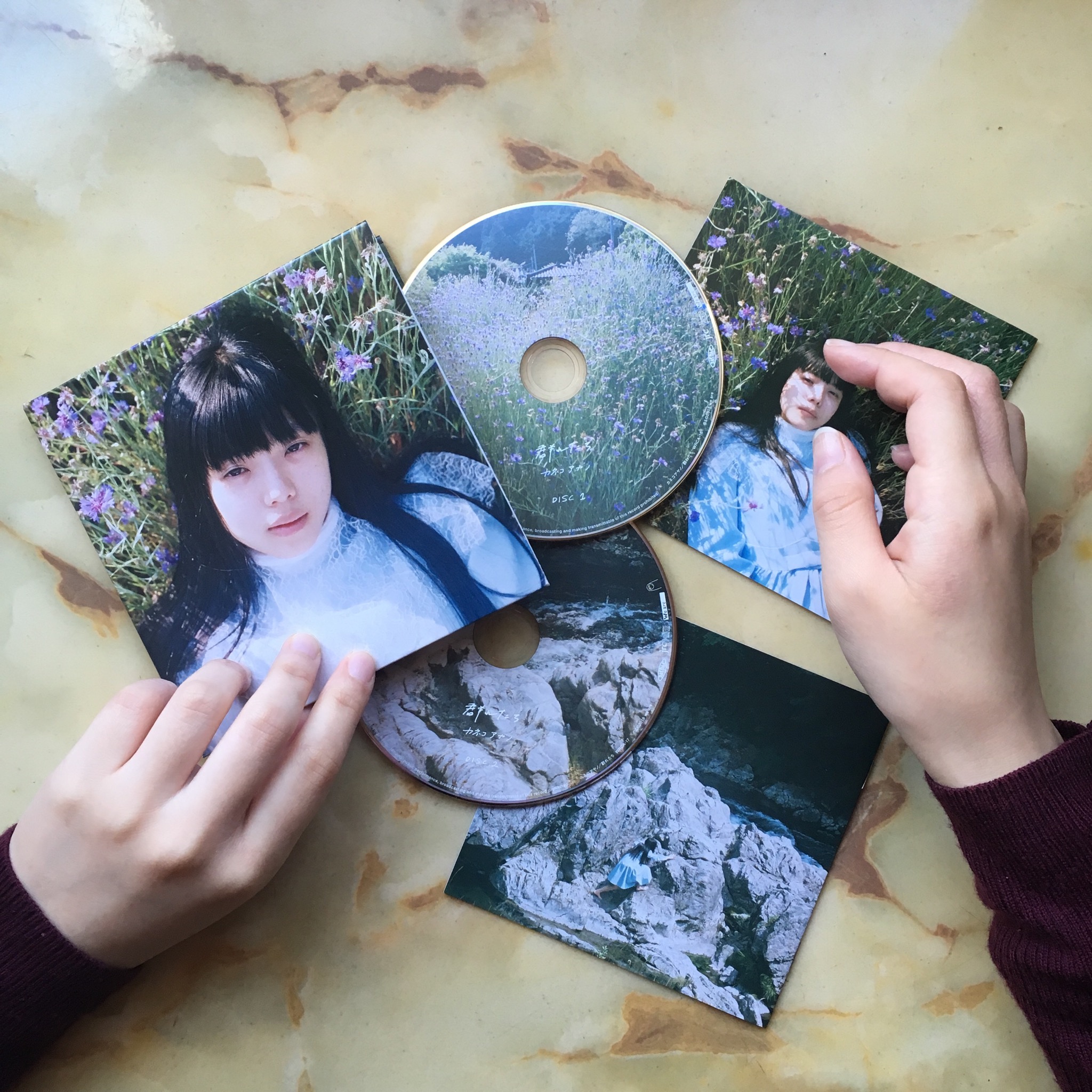 カネコアヤノLP作『群れたち』が紙ジャケ2枚組仕様＋ボートラ収録でCD