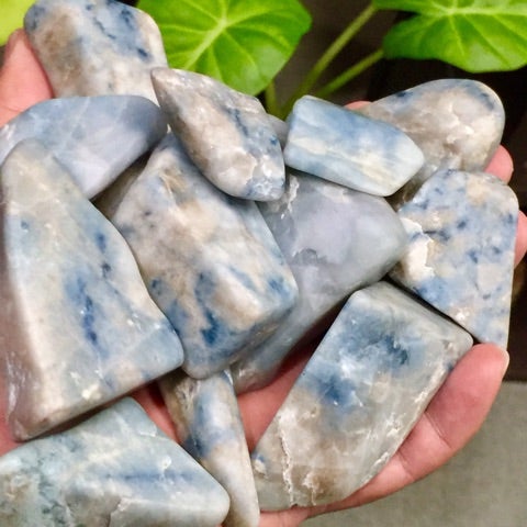 人気な入りコン沢ヒスイ | 姫石～きせき～