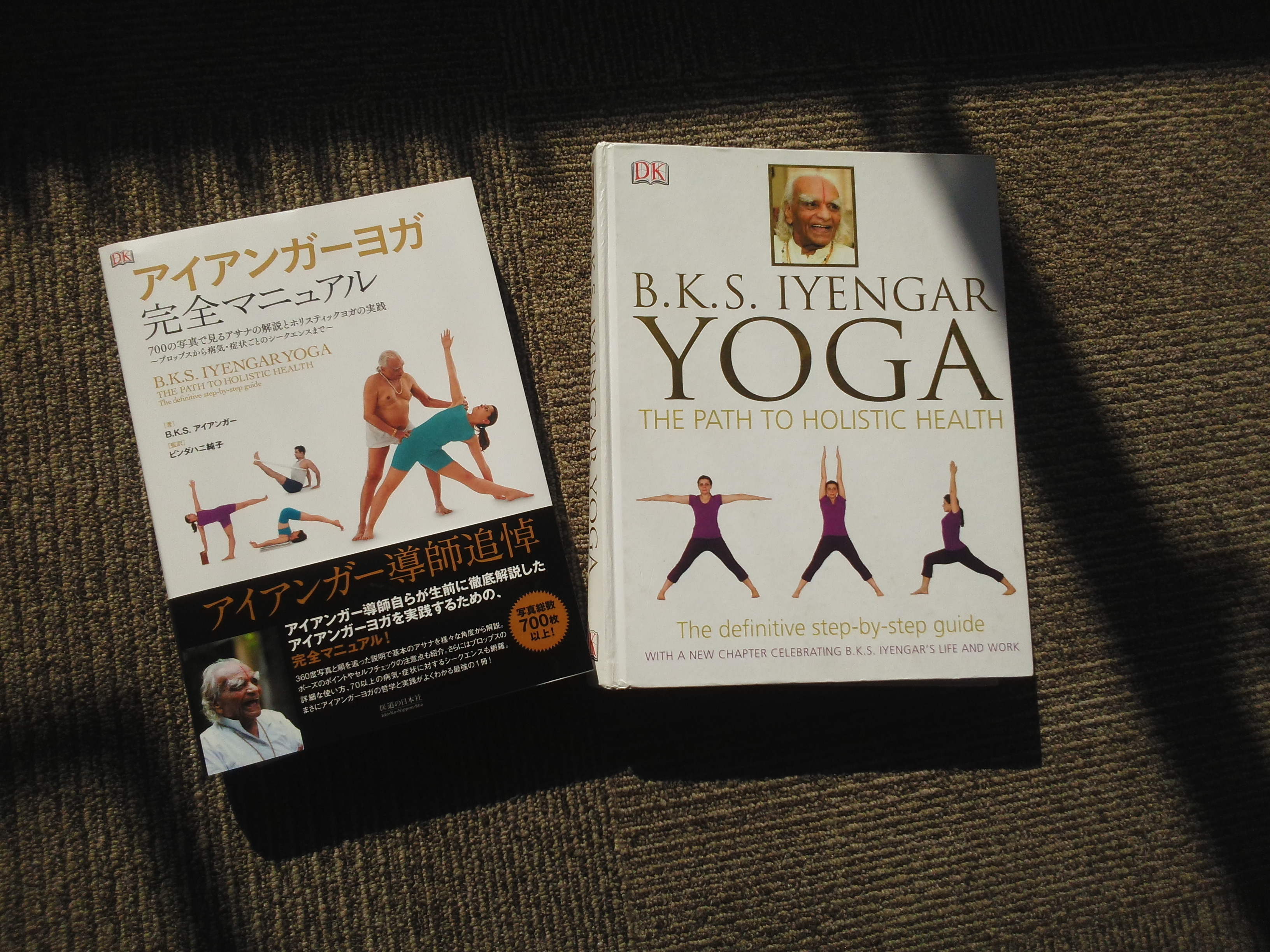 YOGA SADHANA: アイアンガーヨガ完全マニュアル