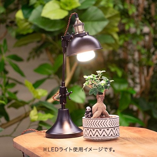 植物育成用LED電球 Well light 3K 昼白色（2球） | 花・花束を贈る