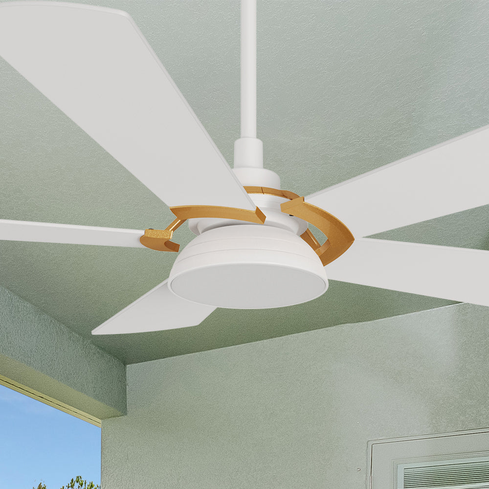 Bradford 52 inch Smart Ceiling Fan with Light Outdoor/Indoor