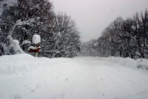 国道257号雪道変