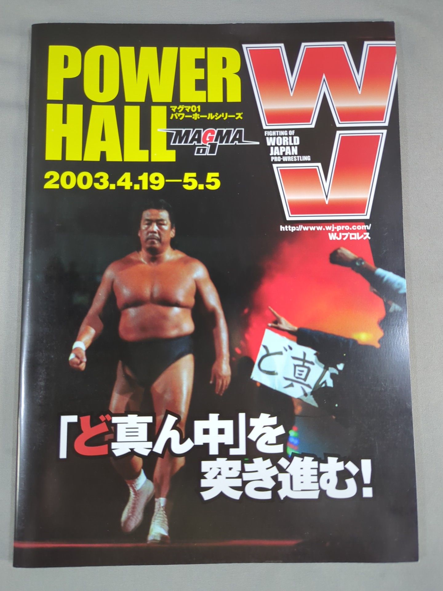 WJプロレス / MAGMA01 パワーホールシリーズ – 闘道館
