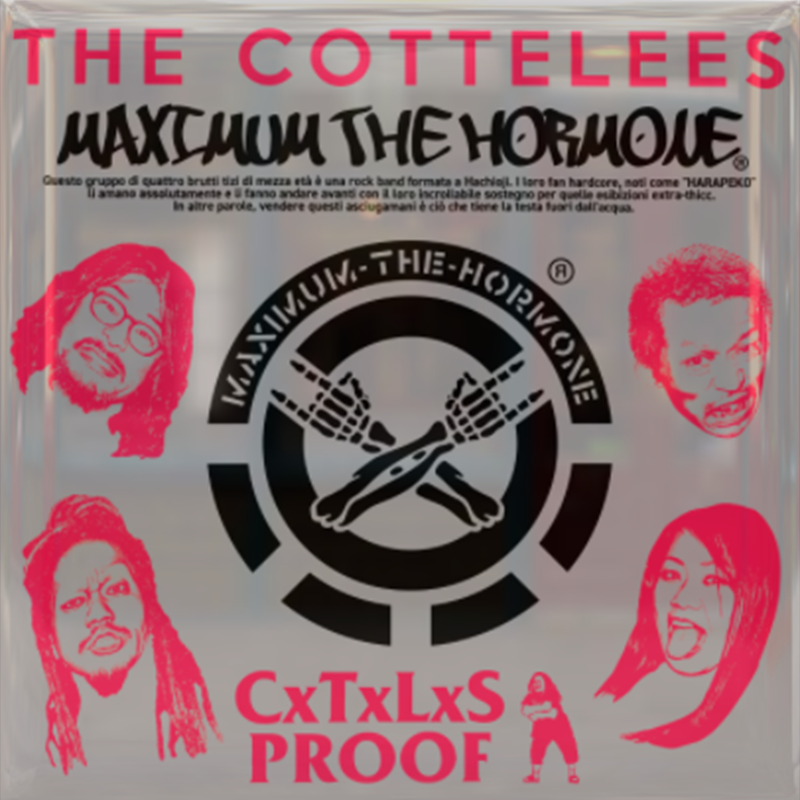 み*も様 マキシマム ザ ホルモン メンカタコテリズン プルーフ PROOF