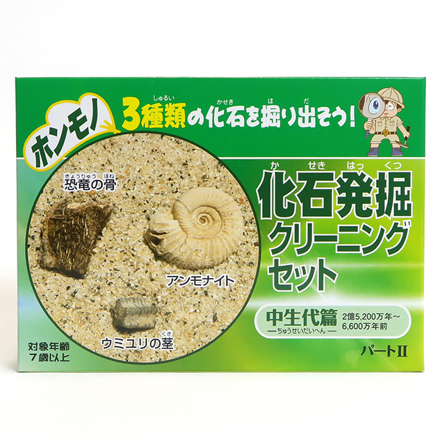 化石発掘クリーニングセット｜実験・体験シリーズ｜化石販売・鉱物販売