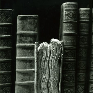 潮田登久子 本の景色