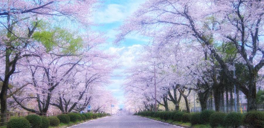 ホーム／西郷村