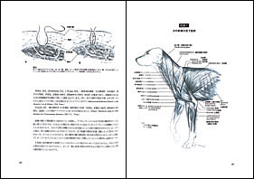 NEW LLL PUBLISHER 【世界動物病院協会】