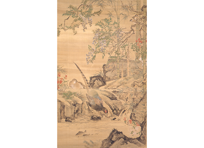 溪澗野雉図」渡辺崋山(1793-1841) | 山形美術館