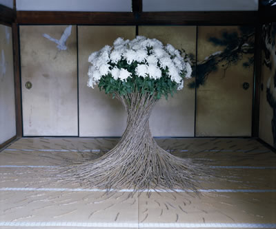 ダニエルオスト 八幡垣：ダニエル・オスト