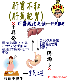 肝胃不和（肝気犯胃） 弁証論治 中医学基礎理論
