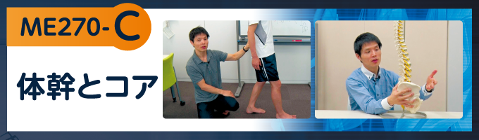 運動連鎖アプローチ（R）パーフェクトDVDシリーズ【全27巻（ A～G