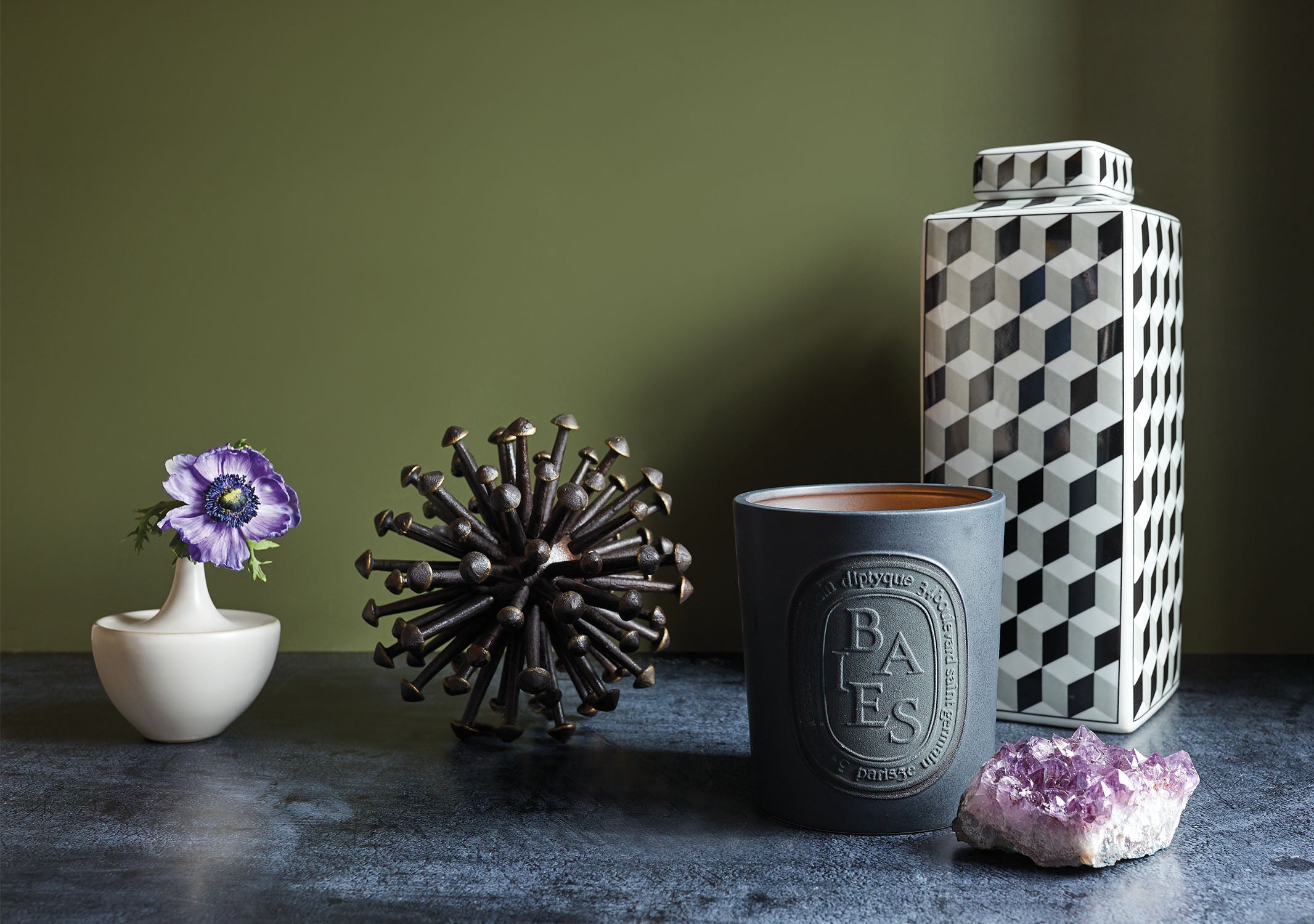 Diptyque Baies Ceramic Candle | Jayson Home