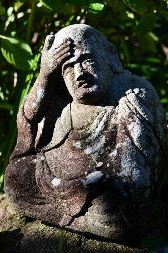 花のお寺 常泉寺