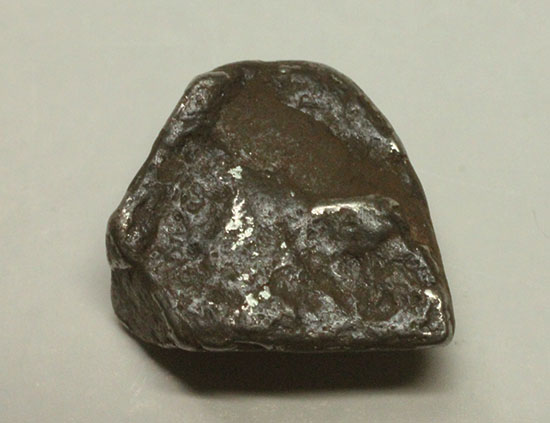 ナミビアで発見されたギベオン隕石(Gibeon meteorite) 隕石 販売