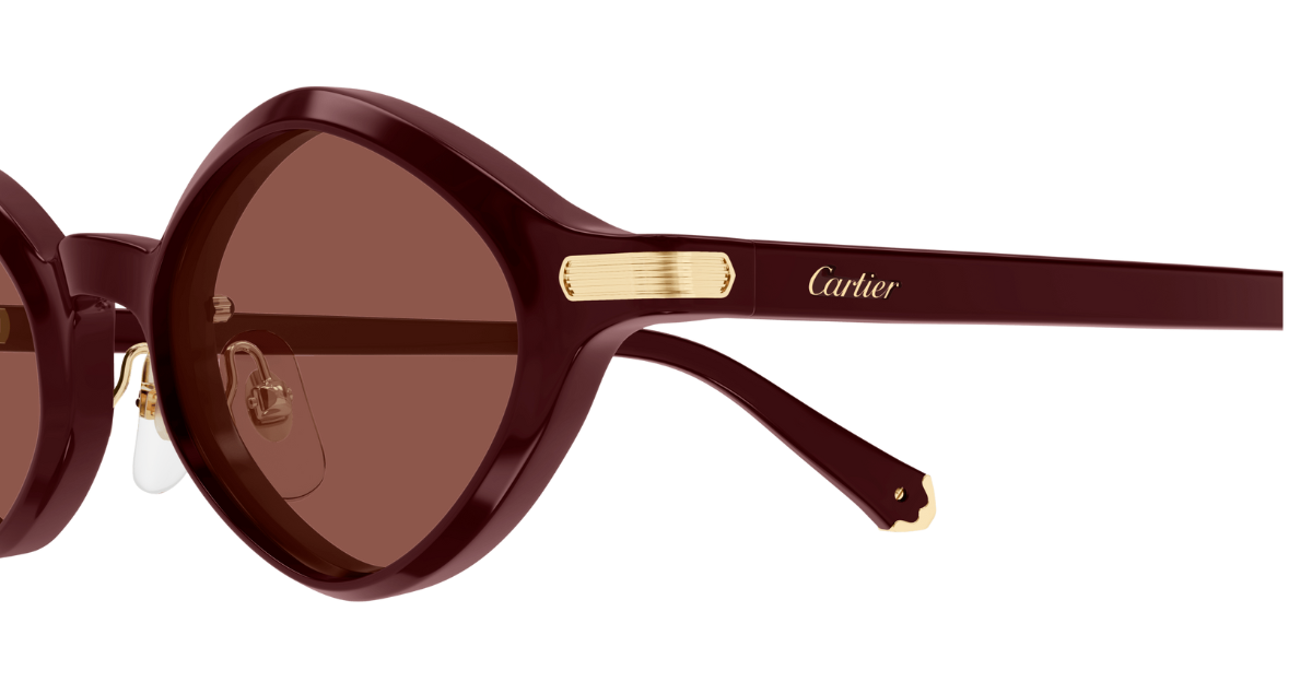Cartier CT0540S 003 - Square luxury sunglasses with brown frames