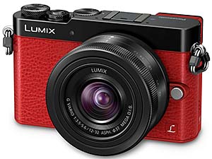 パナソニック Panasonic LUMIX DMC-GM5 電子ビューファインダー内蔵の