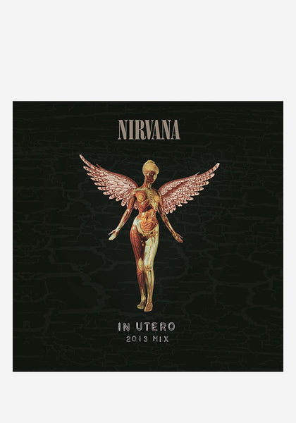 Nirvana-In Utero 20th Anniversary 2LP Vinyl | Newbury Comics