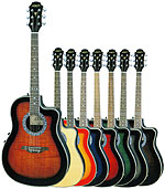 アコースティックギター アリア