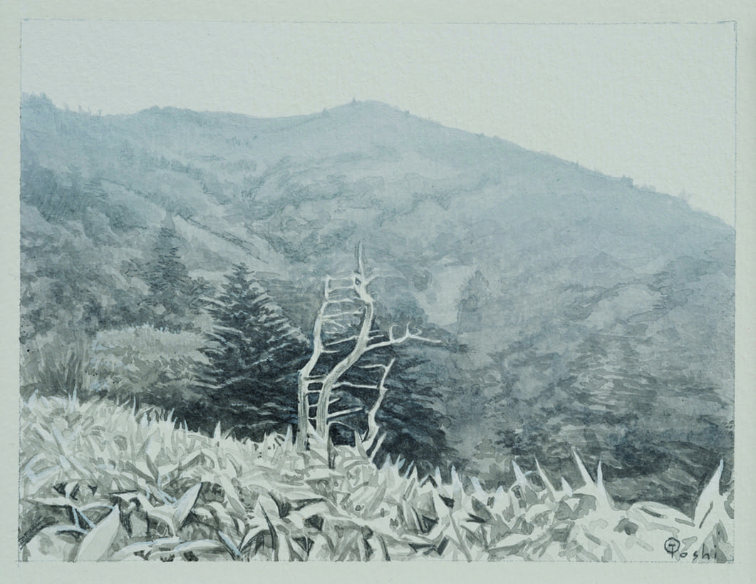 三之瀬御本陣芸術文化館｜公益財団法人 蘭島文化振興財団