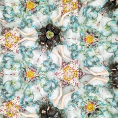 雪の降る街/冬のダイヤモンド | Aimer | ソニーミュージック