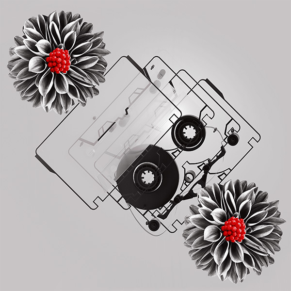 ヒトリエ 「 シャッタードール 」 完全生産限定盤 wowaka ヒトリエ