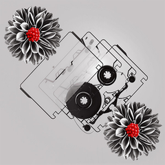 NOTOK【完全生産限定盤】 | ヒトリエ | ソニーミュージック