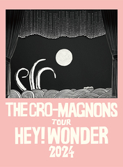 ザ・クロマニヨンズ TOUR ACE ROCKER 2012【初回生産限定盤】 | ザ