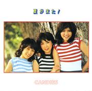 夏が来た | キャンディーズ | ソニーミュージックオフィシャルサイト